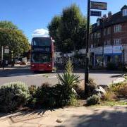 The flower bed at the Windmill Road roundabout, with a red bus passing The Plough pub
